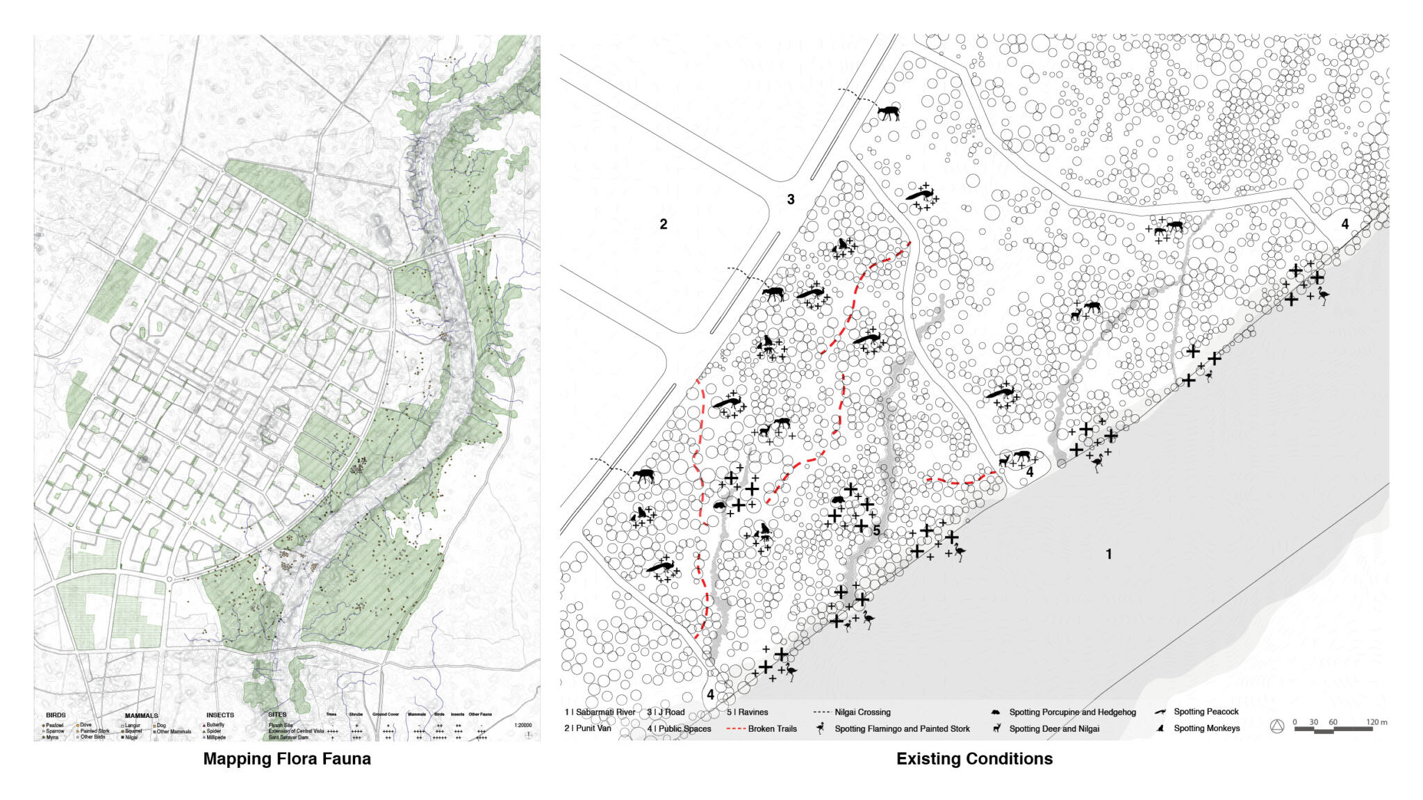 Weaving Through Wilderness: Connect, Experience and Sense - Productive ...